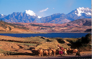 cms_visual_11429.jpg