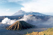 cms_visual_12592.jpg