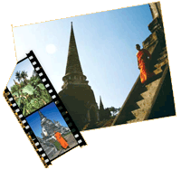cms_visual_12595.gif