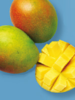 cms_visual_1271.jpg