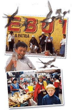 Djoser Junior�Ecuador