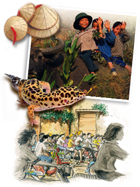 Reizen Vietnam