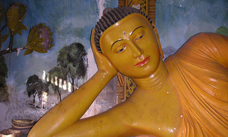 Djoser Junior Sri Lanka: 16 dagen