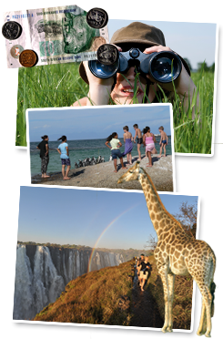 Junior Namibië