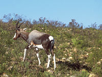 cms_visual_237.jpg
