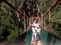 cms_visual_704.jpg