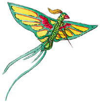 cms_visual_9993.gif